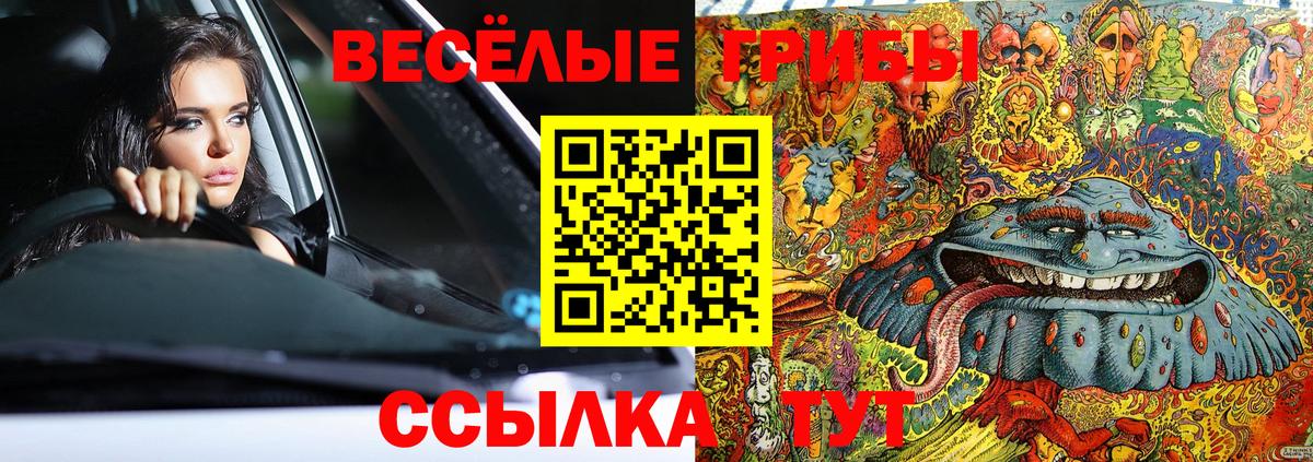 Галлюциногенные грибы GOLDEN TEACHER  Вход с VPN  Псилоцибиновые грибы мухоморы  Миасс 